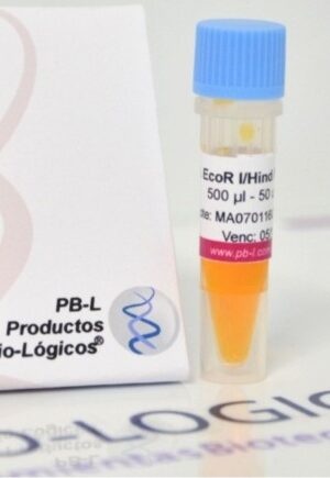 Lambda HinDIII - EcoRI