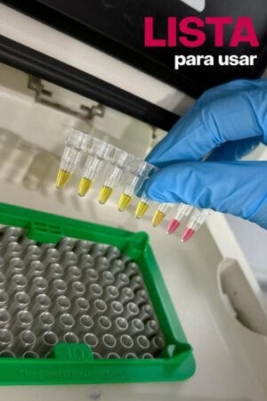 100 reacc 2X (25ul/reacc)